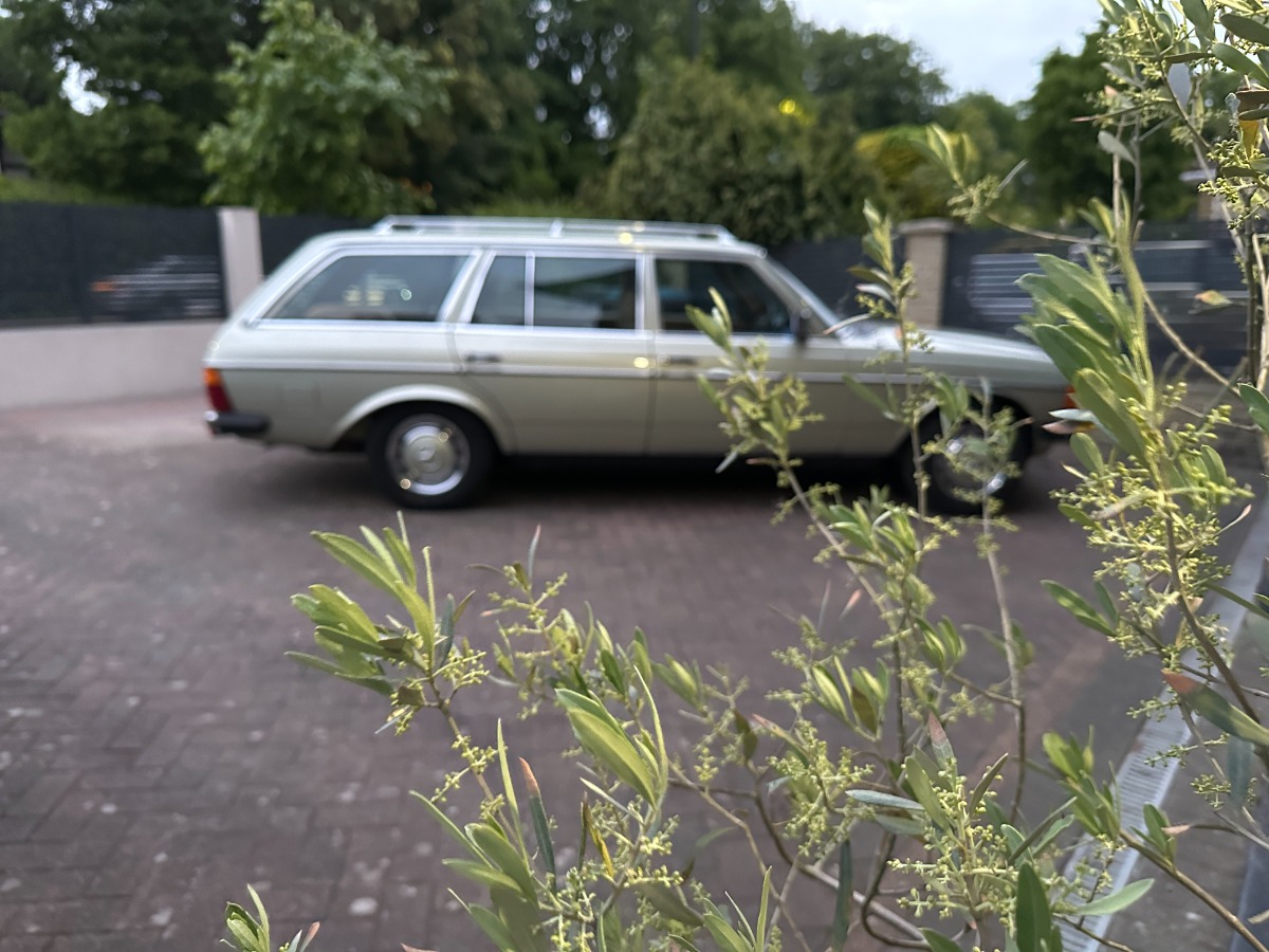 1984 Mercedes-Benz 280 Image 4